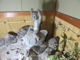 okutonekan14