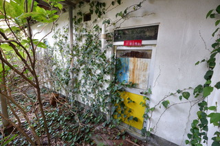 DSCF1097