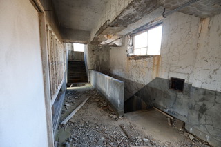 DSCF1813