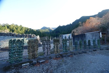 DSCF3709