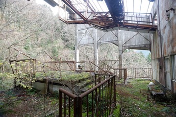DSCF6199