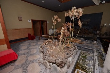 DSCF7990