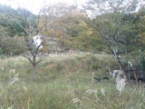 20131027-29
