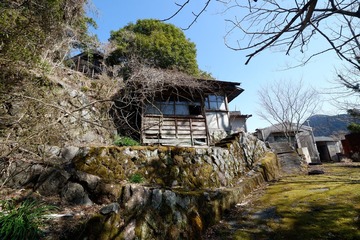 DSCF3749
