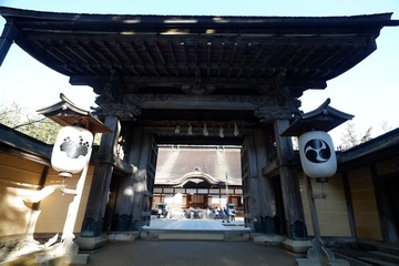 DSCF3574