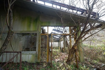DSCF6227