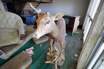 DSCF3544