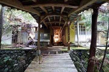 DSCF3377