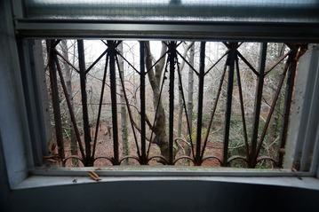DSCF4925