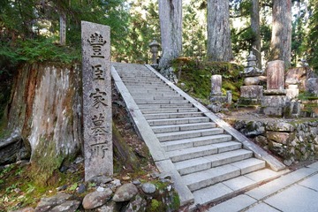 DSCF3599