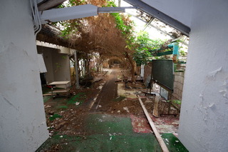 DSCF1257