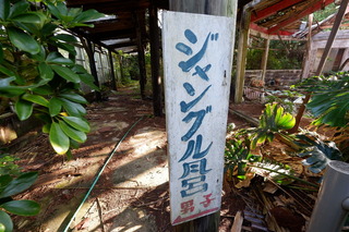 DSCF1077