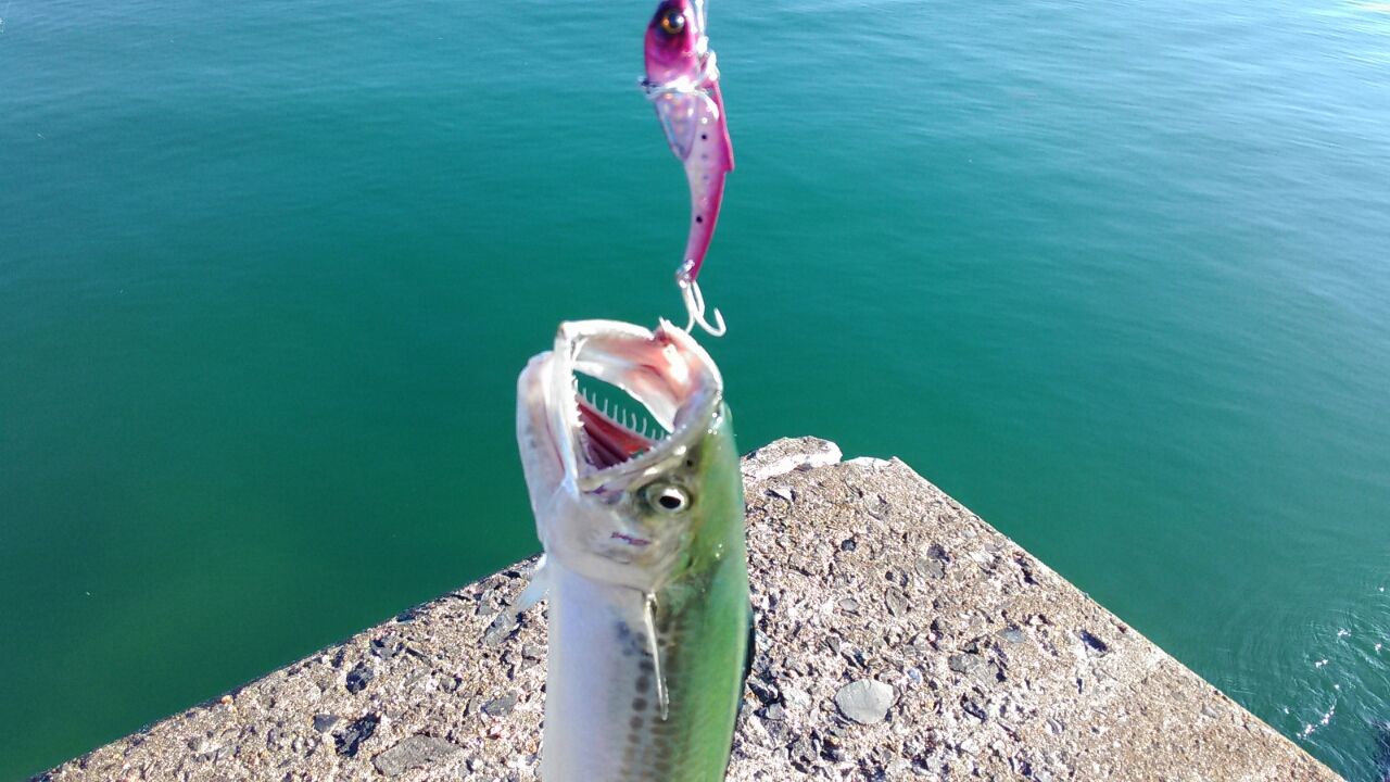 Soublog とりあえず合格 意味不明