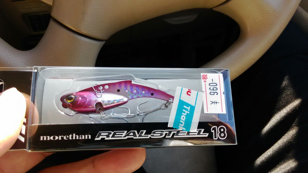 Soublog メタルマルシングルフック化とダイワリアルスティール18g