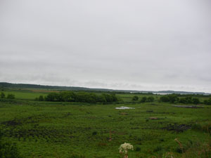 kuccharo1