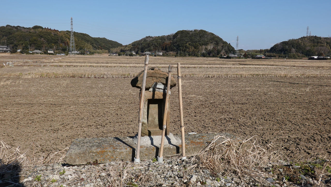 田んぼの神様 田んぼの神様