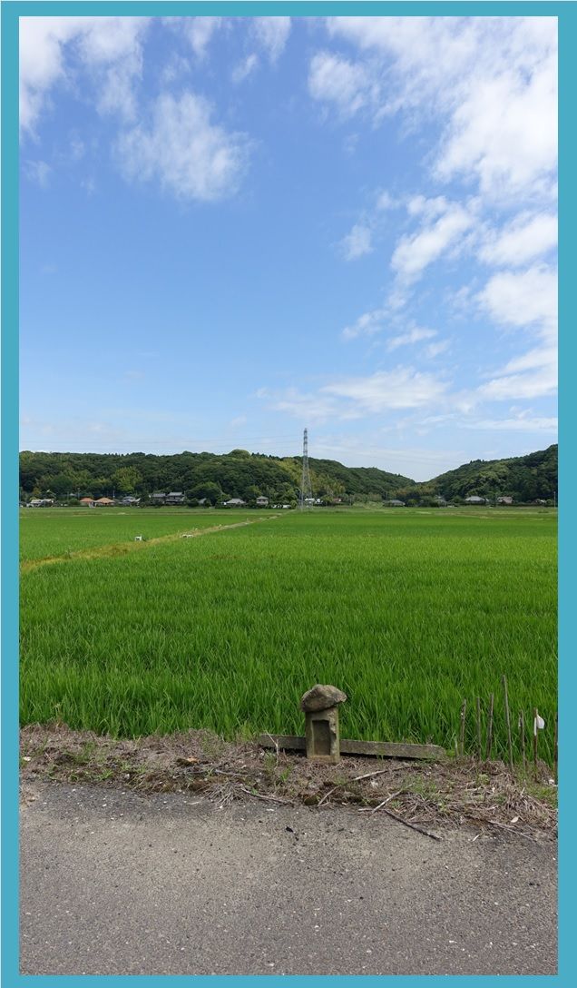 田んぼの神様 田んぼの神様
