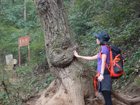 小五台　登山　まなみヨガ　西安