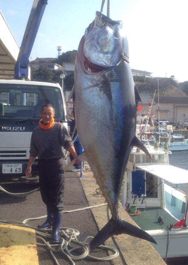 ５年 水産業 クロマグロの授業 第８時 ゲンタの授業ポートフォリオ