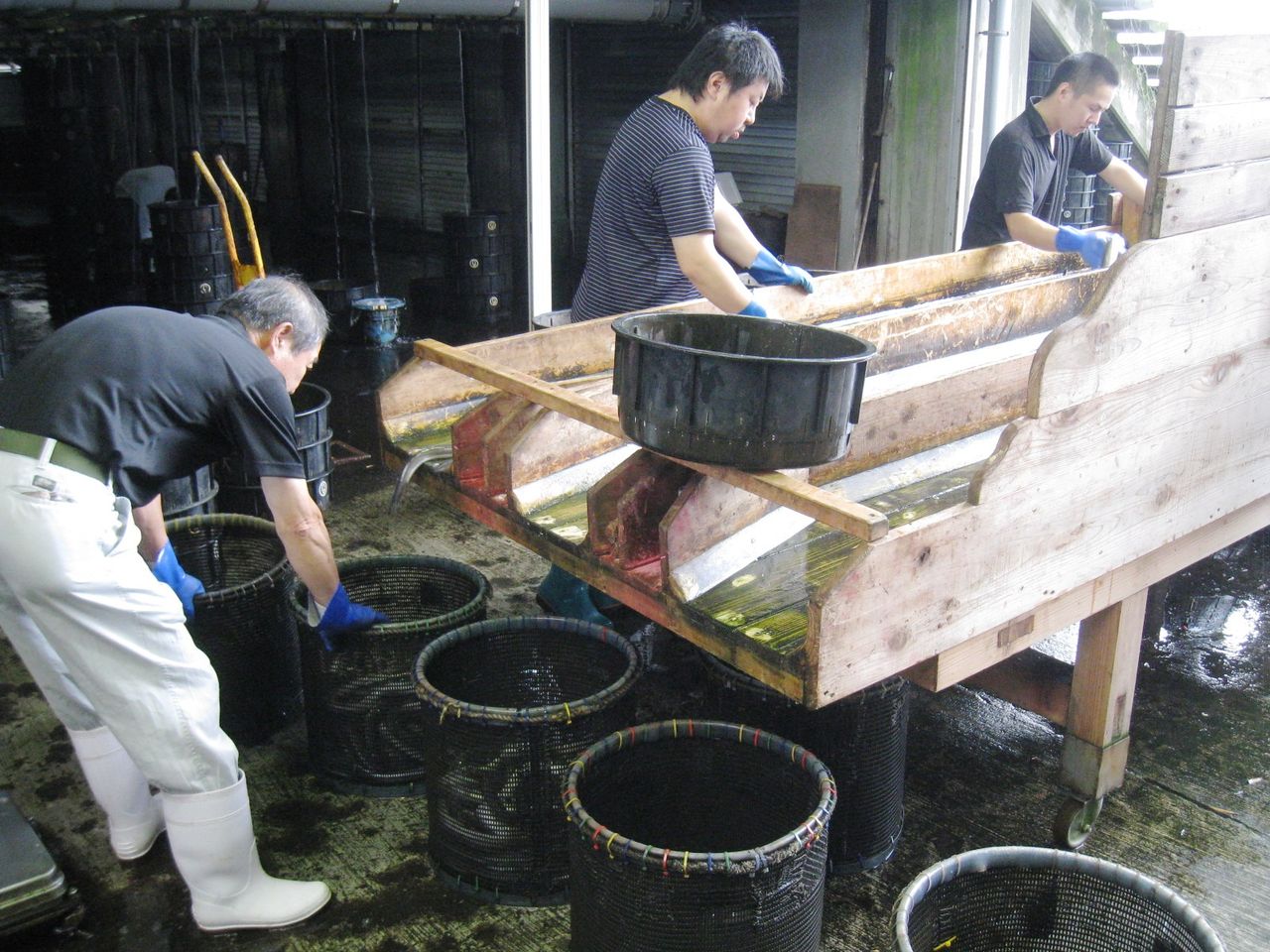 ５年社会 水産業 ゲンタの授業ポートフォリオ