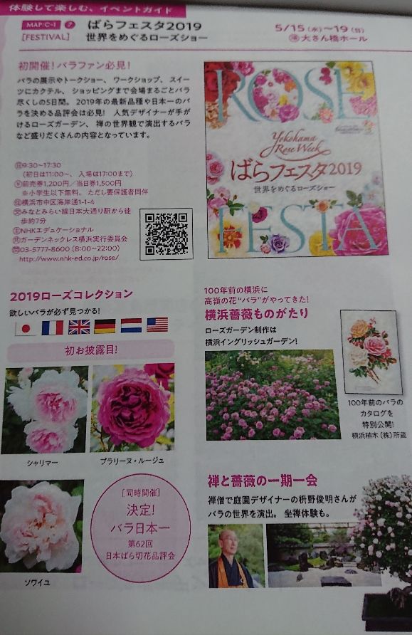 横浜でローズウイーク ローズフェスタ5 15 5 19大桟橋ホールで 薔薇の実ーミニ薔薇盆栽の庭 横浜でローズウイーク ローズフェスタ5 15 5 19大桟橋ホールで 薔薇の実ーミニ薔薇盆栽の庭