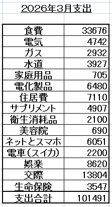スクリーンショット 20263月支出