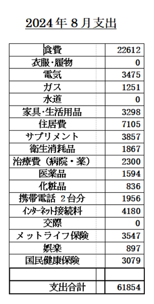 スクリーンショット (336)