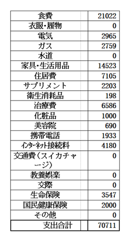 スクリーンショット (252)