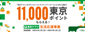 スクリーンショット (480)
