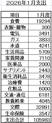 スクリーンショット (380)20nenn１月支出