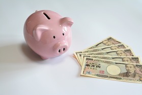 0adpDSC_6349butanoc豚さん貯金箱