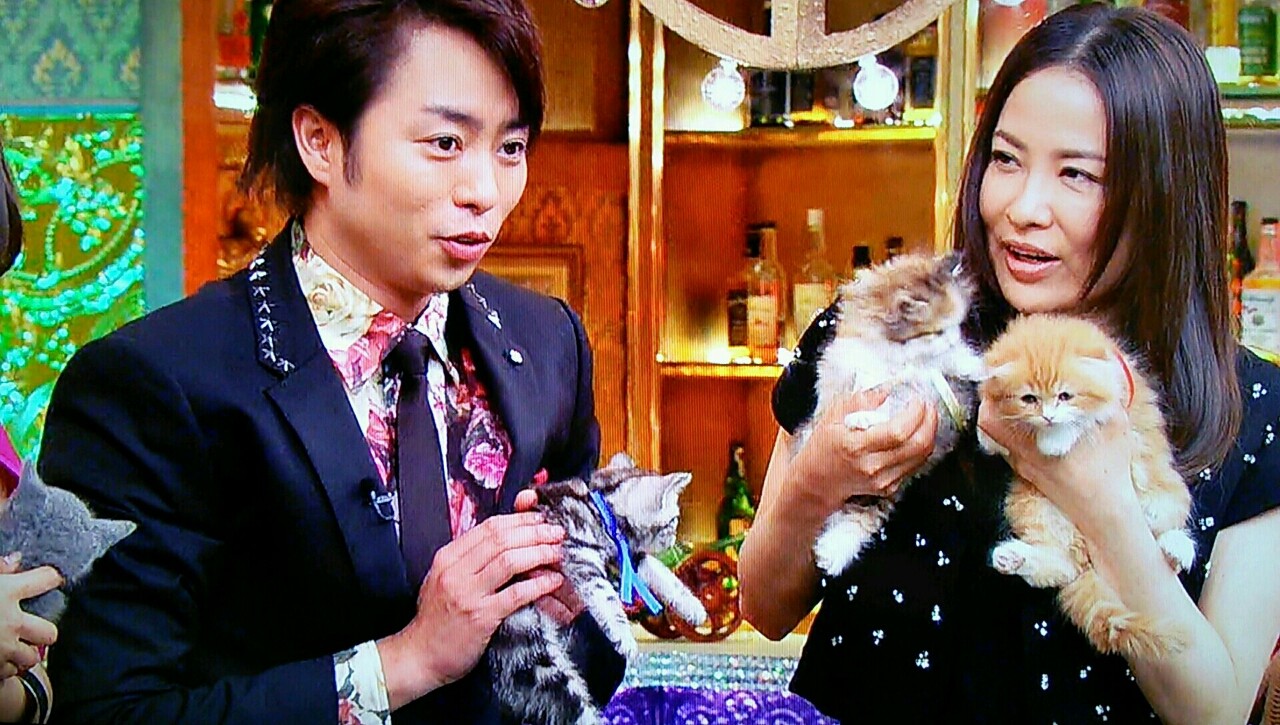 手を振る翔くんとネコと 夜会 櫻井翔と七色の嵐フルな日々