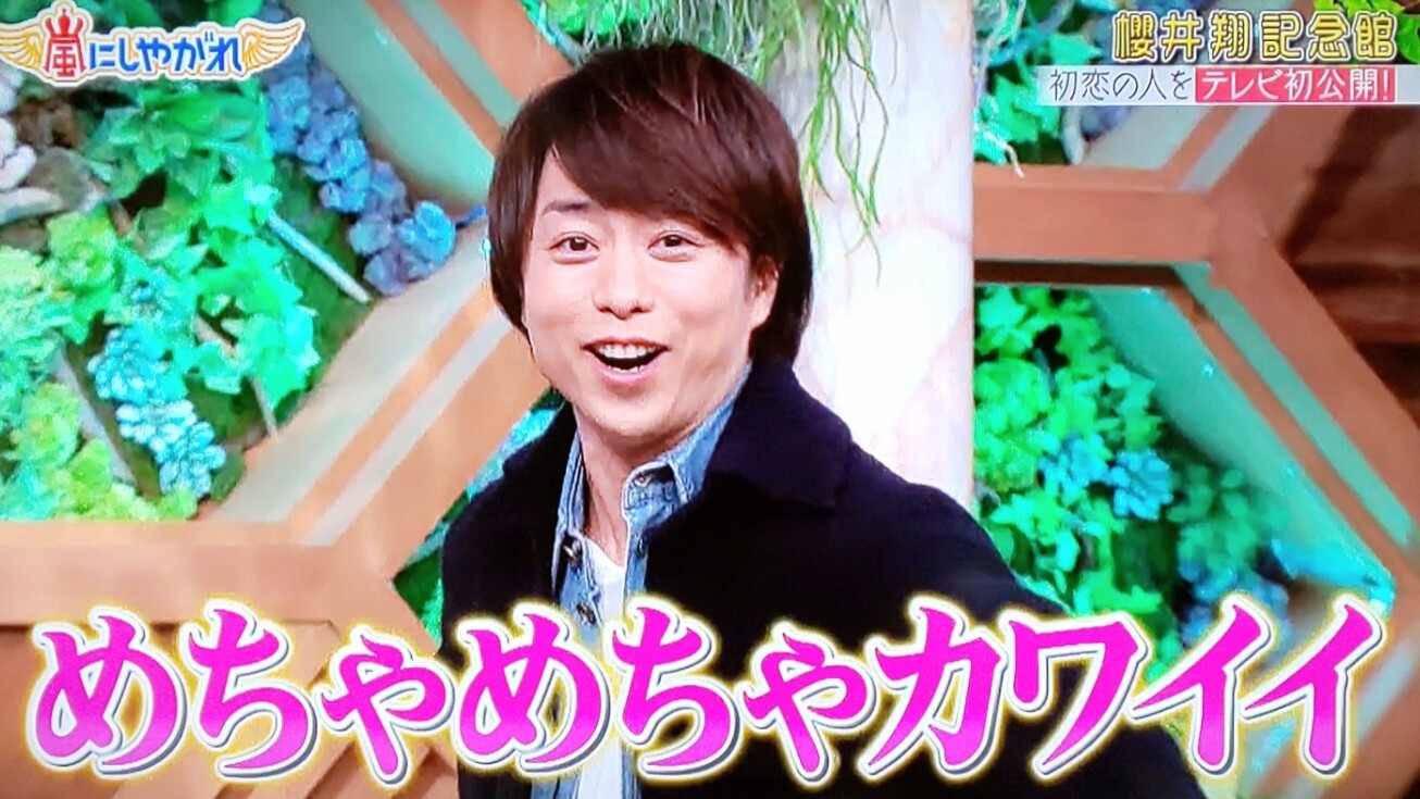 初恋のガブリエッラちゃん 櫻井翔記念館１ 櫻井翔と七色の嵐フルな日々