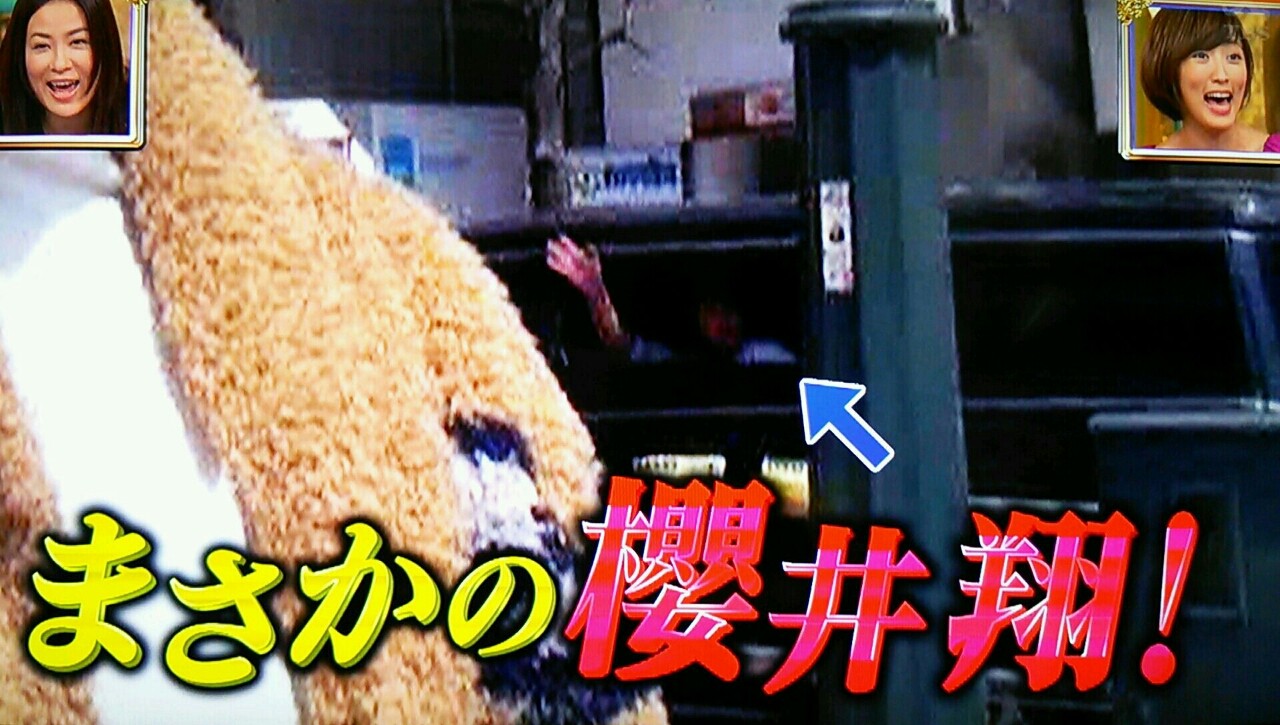手を振る翔くんとネコと 夜会 櫻井翔と七色の嵐フルな日々 手を振る翔くんとネコと 夜会 櫻井翔と七色の嵐フルな日々