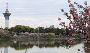 20260413_053359933