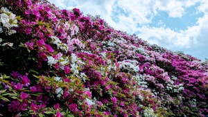 20250504_050959388~2