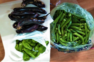 KIMG1754_20210720152558