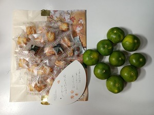 IMG_20230919_174658_1