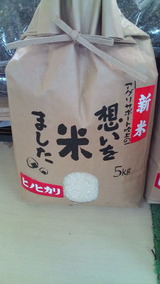 61fc04b0.jpg