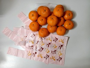 IMG_20231220_095644_1