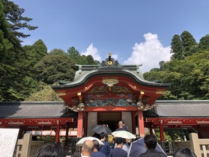 IMG_1242