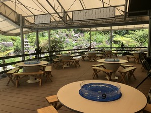 IMG_1766