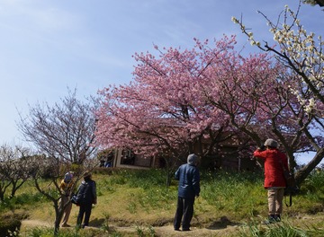 吉野公園 053
