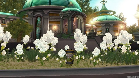 パドレア邸の白い花 Ver 4ネタバレ有 Dqxをボンヤリ遊ぶ パドレア邸の白い花 Ver 4ネタバレ有 Dqxをボンヤリ遊ぶ