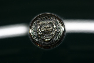 sDSC07220