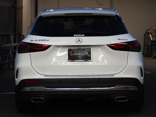 sP6010030