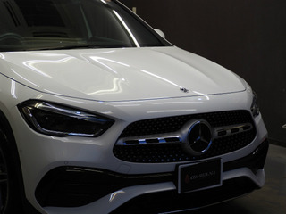 sP6010025