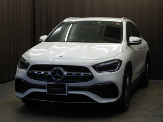 sP6010019