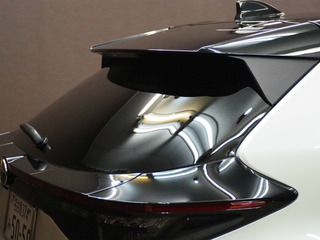 sP6140068