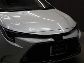 sP1170029